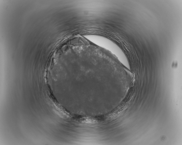 X0000093740601200711131103