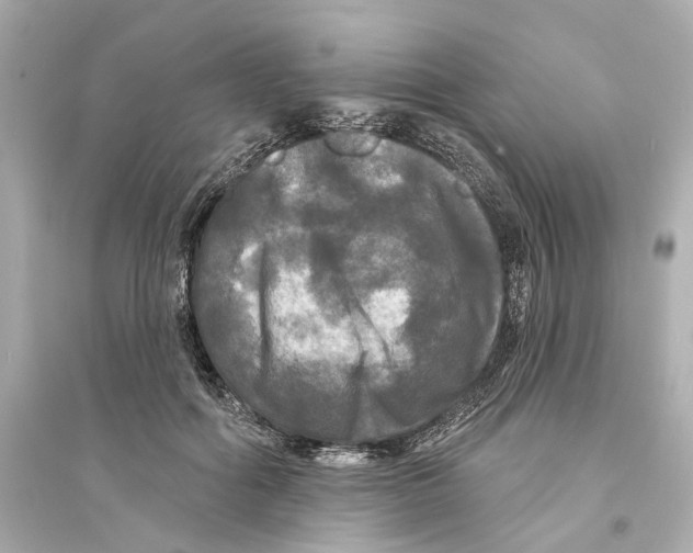 X0000093740602200711131103
