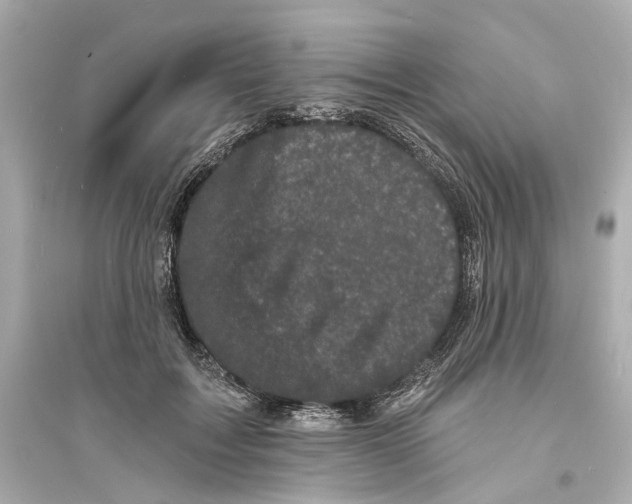 X0000093740603200711131103