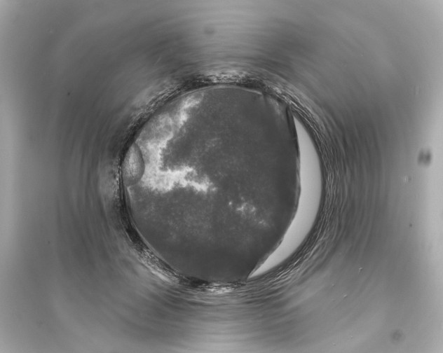 X0000093740604200711131103