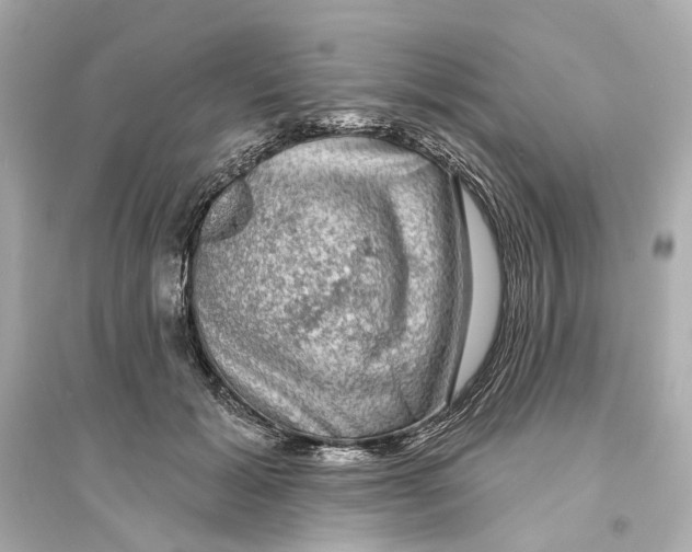 X0000093740605200711131103