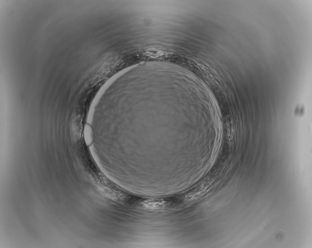 X0000093740606200711131103