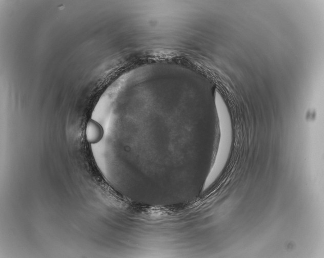 X0000093740608200711131103