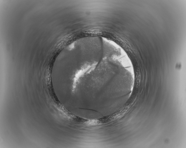 X0000093740609200711131103