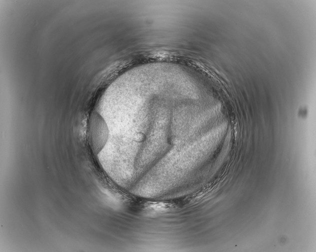 X0000093740611200711131103
