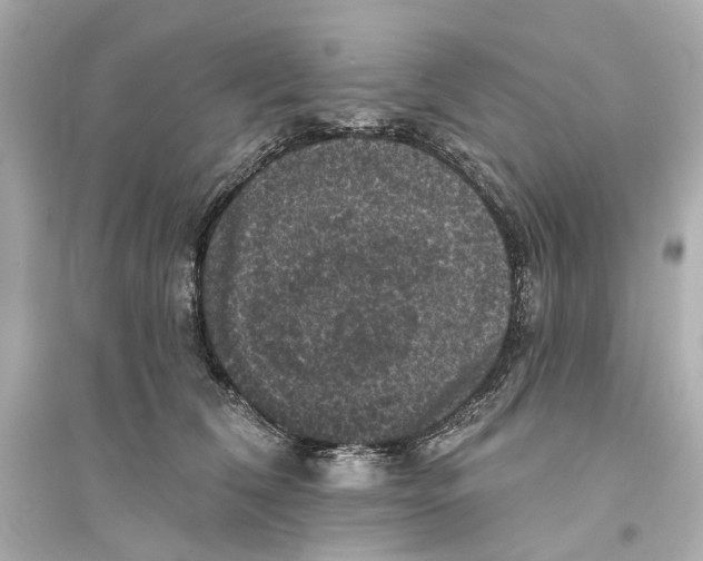 X0000093740612200711131103