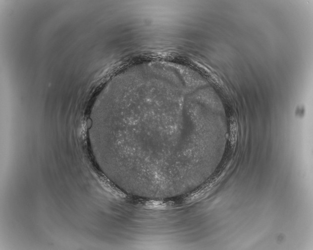 X0000093740613200711131103