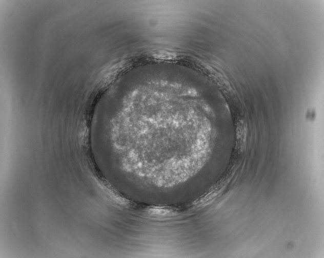 X0000093740614200711131103