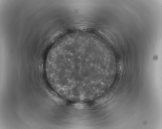 X0000093740615200711131103
