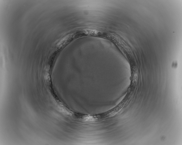 X0000093740616200711131103