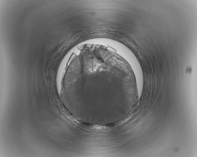 X0000093740617200711131103