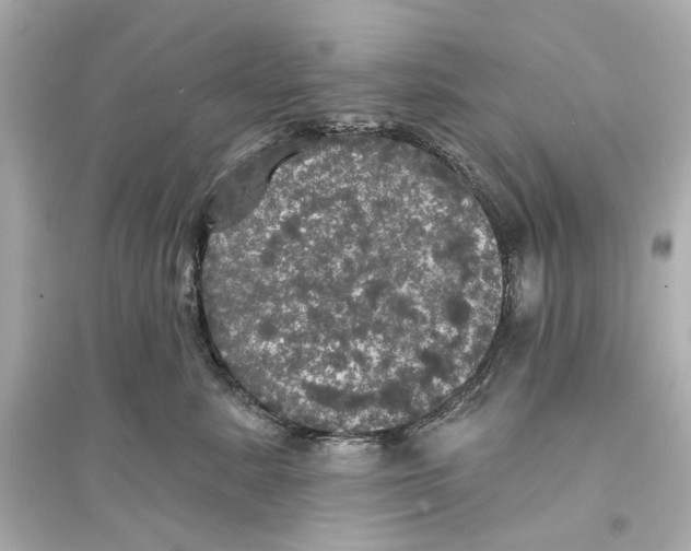 X0000093740619200711131103