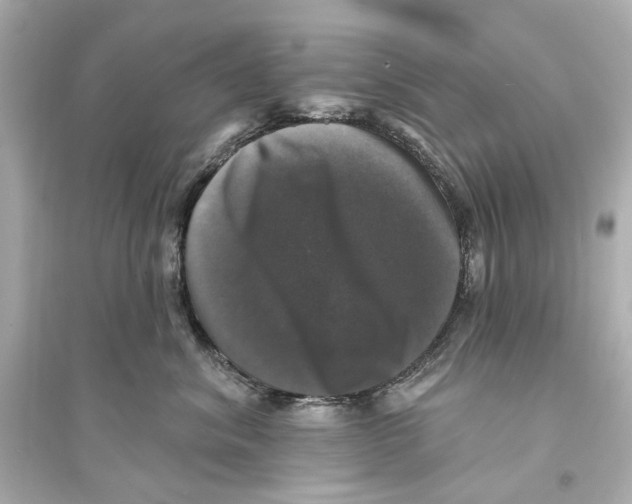 X0000093740620200711131103