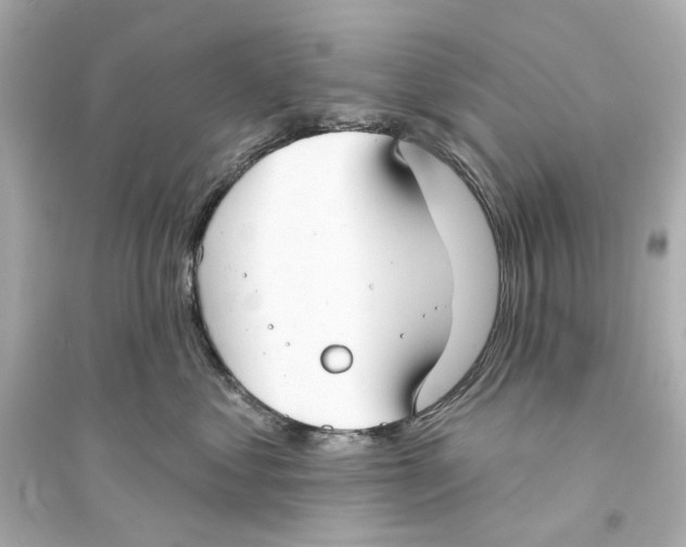 X0000093740621200711131103