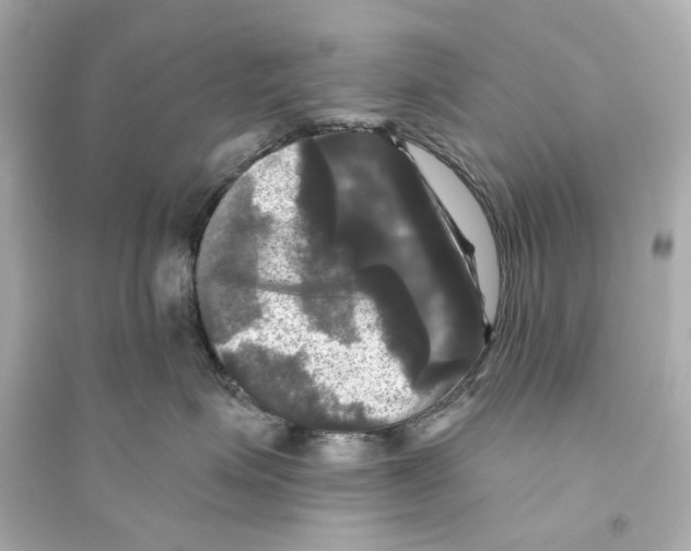 X0000093740623200711131103