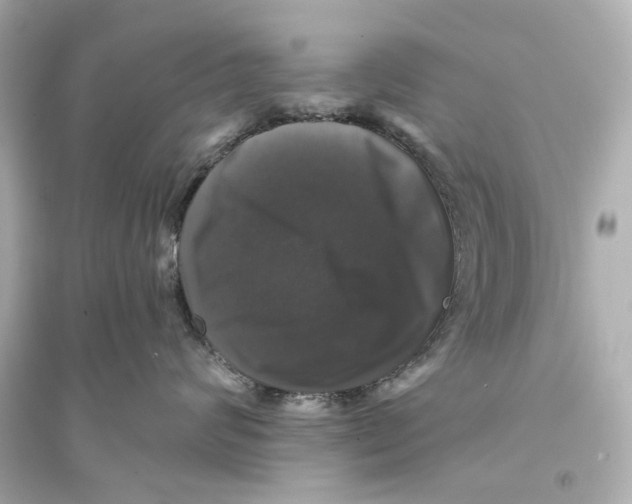 X0000093740624200711131103