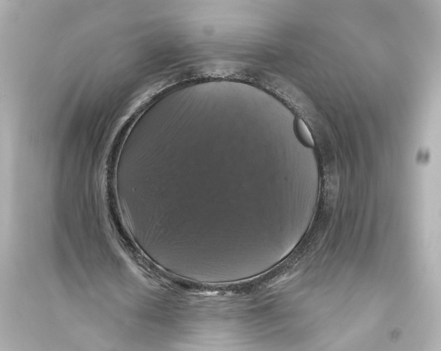 X0000093740626200711131102