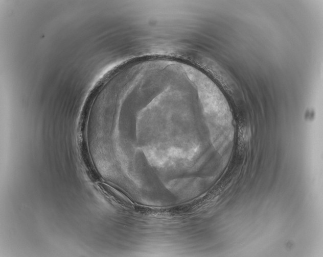 X0000093740628200711131102