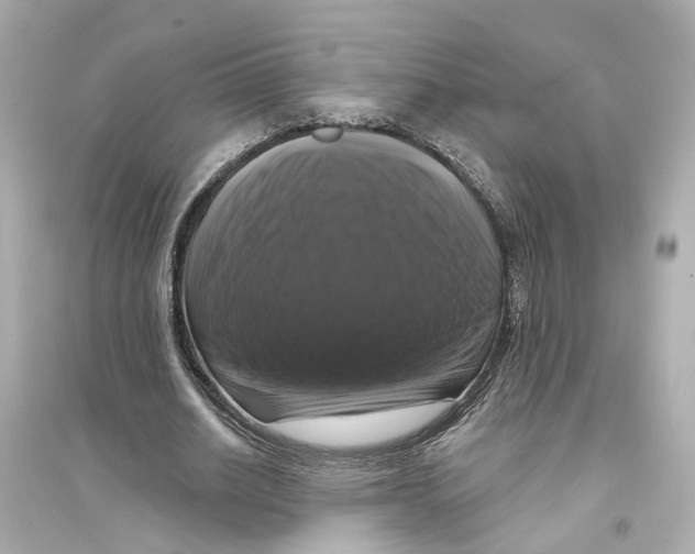X0000093740630200711131102