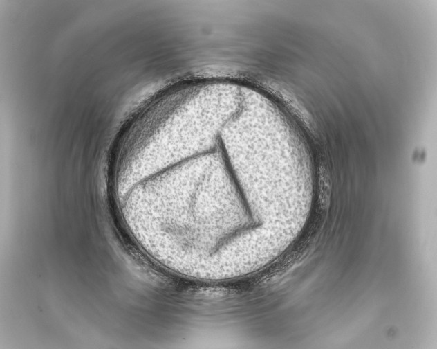 X0000093740631200711131102