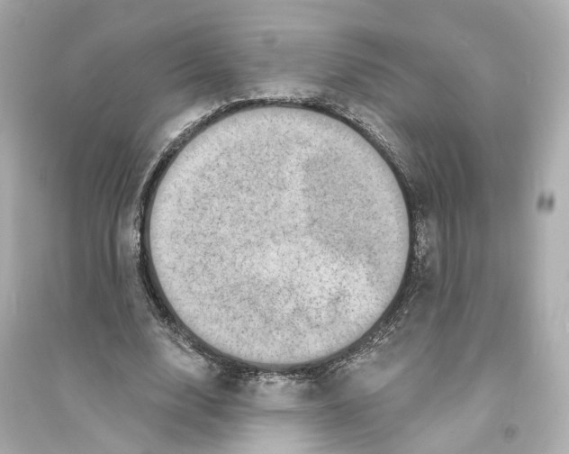 X0000093740632200711131102