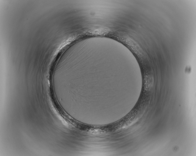 X0000093740634200711131102
