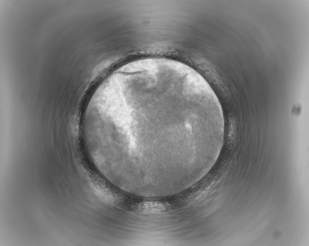 X0000093740636200711131102