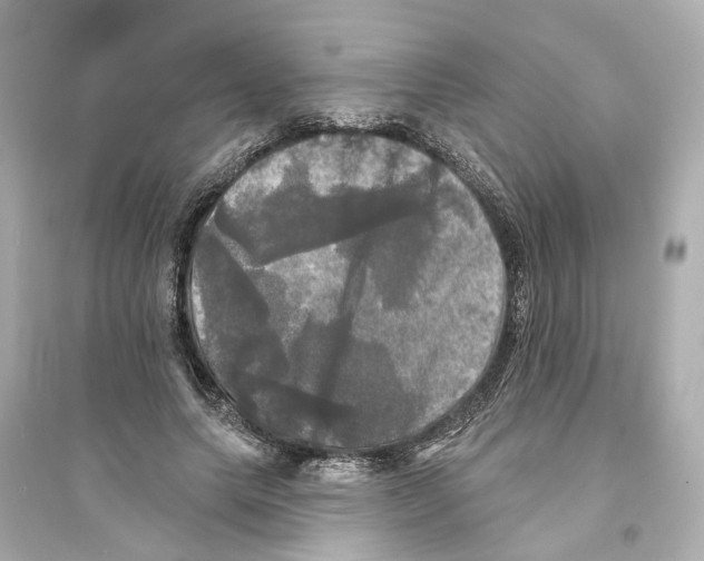 X0000093740639200711131102