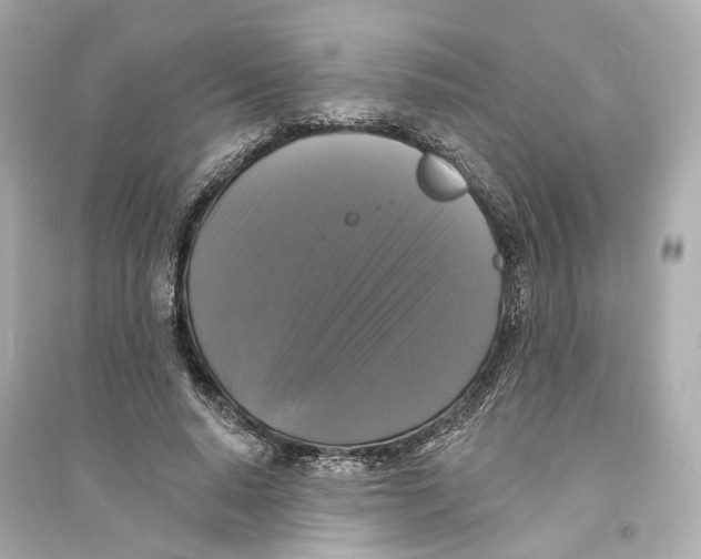 X0000093740640200711131102