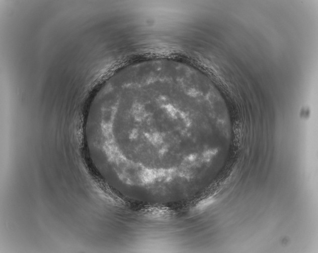 X0000093740642200711131102