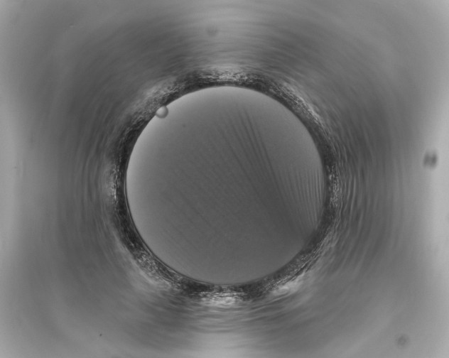X0000093740643200711131102