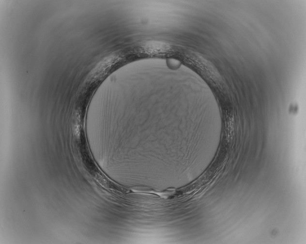 X0000093740644200711131102