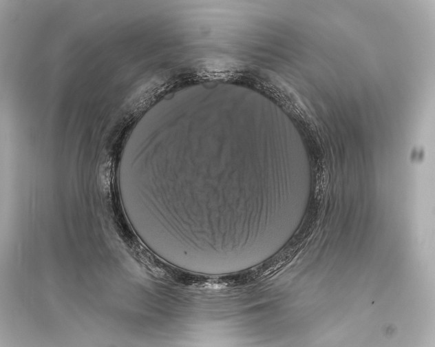 X0000093740647200711131102