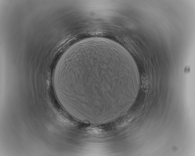 X0000093740648200711131102