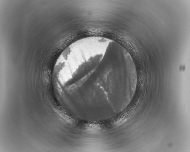 X0000093740649200711131102