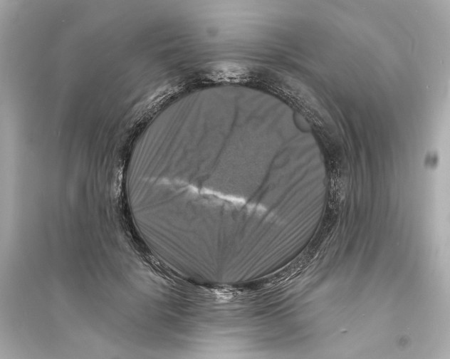 X0000093740652200711131103