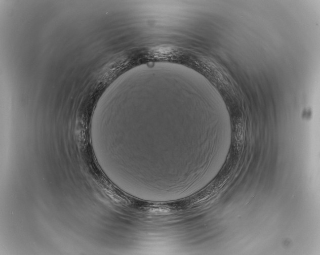 X0000093740653200711131103