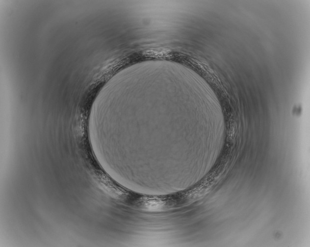 X0000093740658200711131103