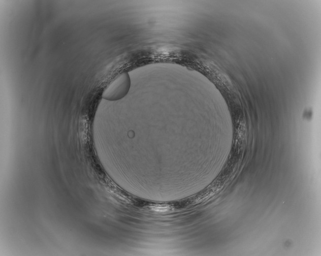 X0000093740659200711131103