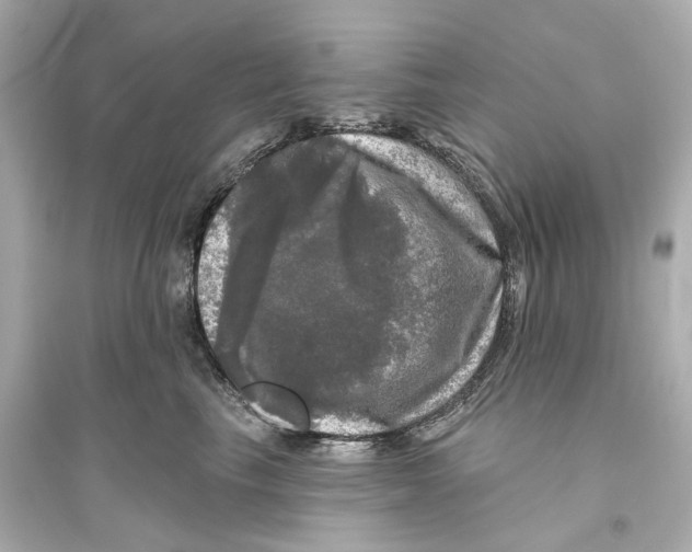 X0000093740665200711131103