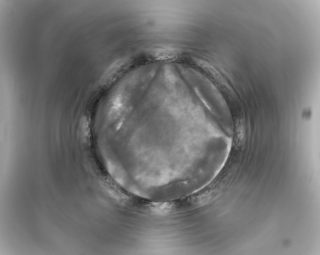 X0000093740667200711131103