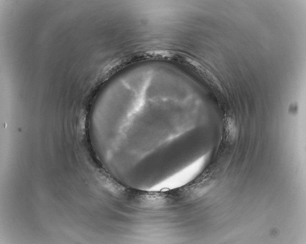 X0000093740668200711131103