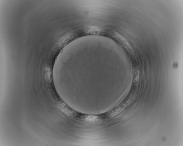 X0000093740669200711131103