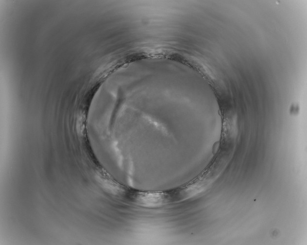 X0000093740671200711131103