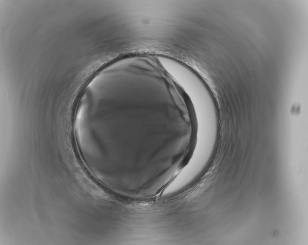 X0000093740673200711131102
