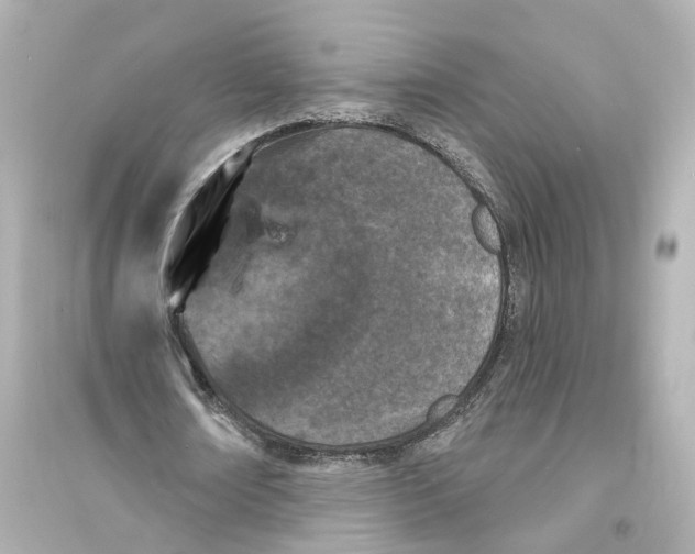 X0000093740674200711131102