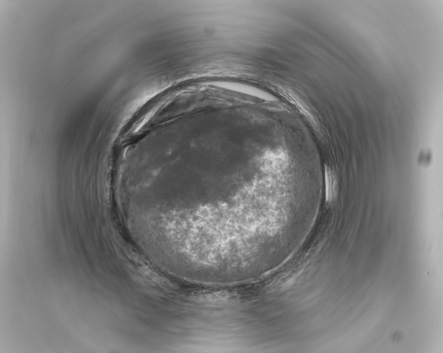 X0000093740675200711131102