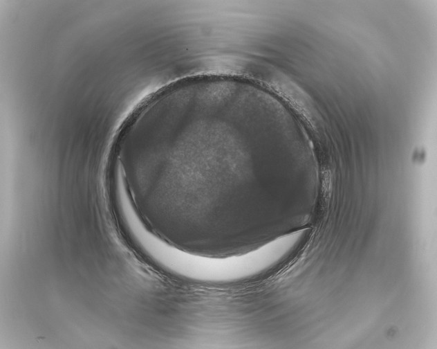 X0000093740676200711131102