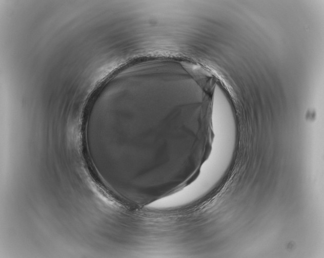 X0000093740677200711131102
