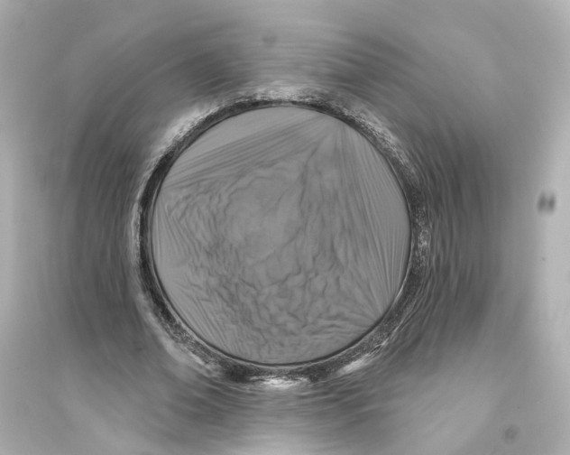 X0000093740678200711131102
